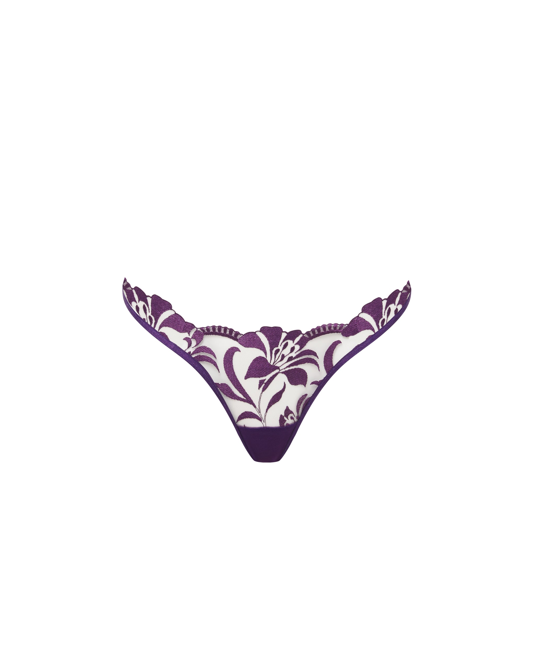 Bluebella Leonora Brief Acai Purple/Sheer - 10
